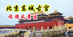 帅哥把自己的大鸡巴插进美女的屁眼里面的视频中国北京-东城古宫旅游风景区